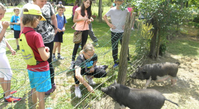 Geografska radionica na Dravi